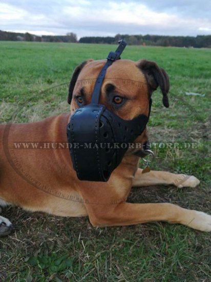 Large breeds leather Dog Muzzle "Dondi plus"