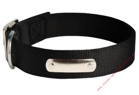 Nylon Dog Collar with Name Plate for Walks