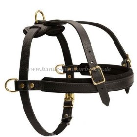 Tracking Leather Dog Harness for Pulling and Walking