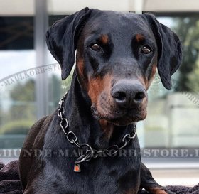 Dobermann Halskette mit großen Gliedern, geschwärzt