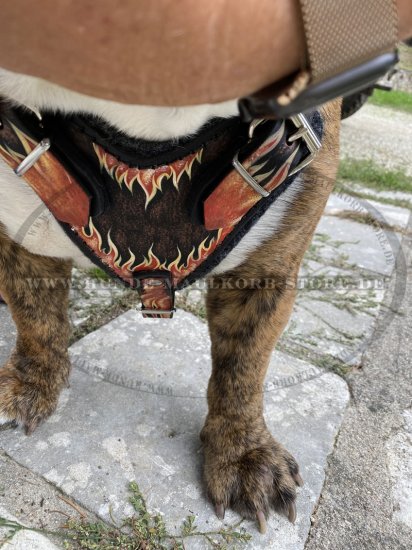 Deisgner Brustgeschirr Leder "Flamme" für Englische Bulldogge