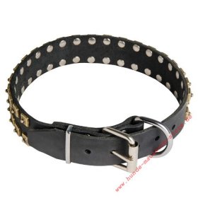 Dobermann Hundehalsband Leder mit Messing Pyramiden