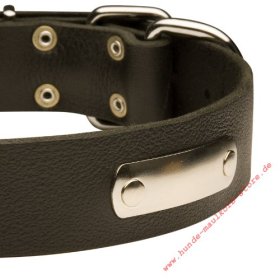 Leather Collar with Name Metal Plate for Indentification