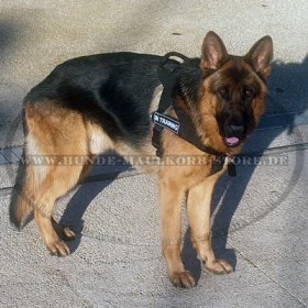 Deutscher Schäferhund Diensthund Geschirr mit Logos