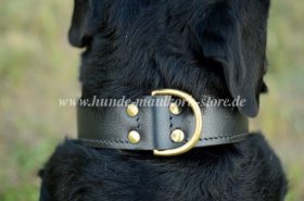 Hetzhalsband 4,5 cm aus zweilagigem Leder