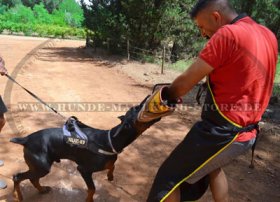 Unbreaking Superb Bite Sleeve For Attacking And DogTraining