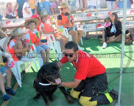 Rottweiler Hundeleine aus Leder 13 mm, multifunktionel