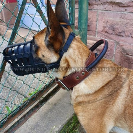 Stilvolles Lederhalsband mit Schlaufe für Malinois | Hundehalsband für Hetzarbeit