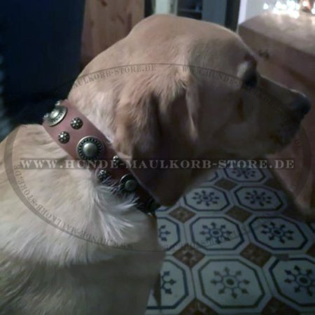 Labrador Lederhalsband "Sophisticated Glamor"