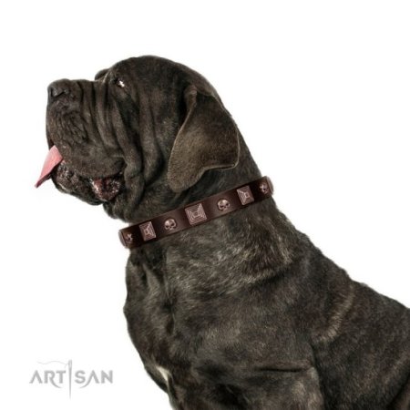Hundehalsband aus Leder mit Schädel Dekor im Rock Design