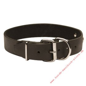 Leather Collar with Name Metal Plate for Labrador Indentification