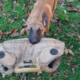 Bite Pillow for Puppy | Jute Bite Sleeve for Puppy Training