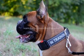 Collar made of Nylon with Patch Super Durable