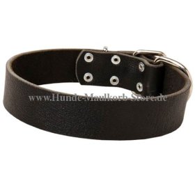 Schlichtes Hundehalsband Leder 4 cm