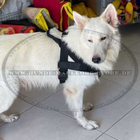 Deutscher Schäferhund Diensthund Geschirr mit Logos