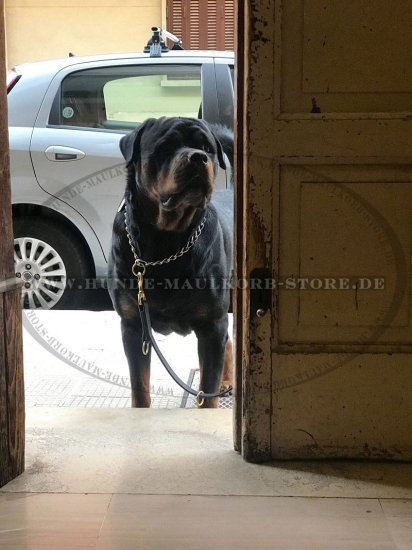 Rottweiler Hundeleine aus Leder 13 mm, multifunktionel