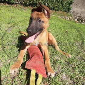 Originelles Beissspielzeug für Malinois aus French Linen