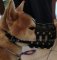 Dog Muzzle Great Dane | Leather Muzzle Perfect Ventilation