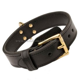 Dog Collar of Thick Leather