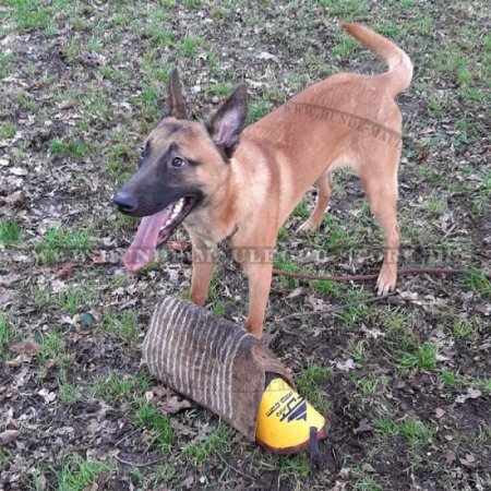 Hetzarm für Junghundtraining | Schutzarm für K9 Training