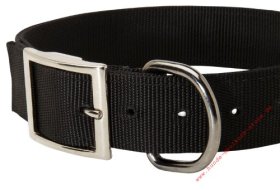 Nylon Dog Collar with Name Plate for Walks