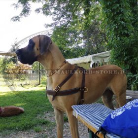 Tracking Leather Dog Harness for Pulling and Walking