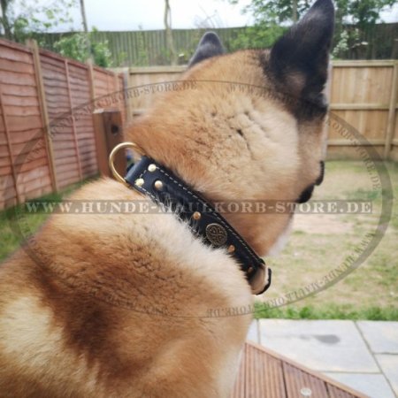 Exclusive Nappa Padded Handmade Leather Dog Collar, Brown