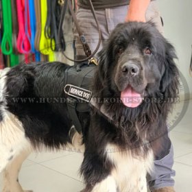 Reflective Multi-Purpose Nylon Dog Harness for Newfoundland