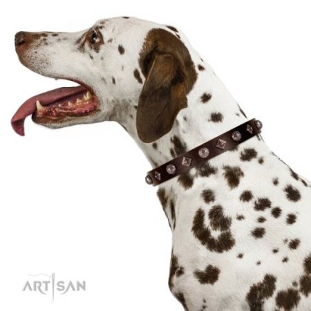 Hundehalsband aus Fettleder im Braun mit stilvollem Dekor