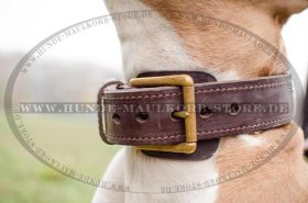 Hetzhalsband 4,5 cm aus zweilagigem Leder