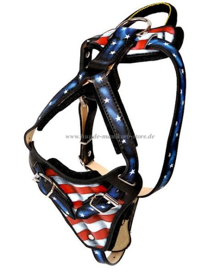 St. Bernhard Dog Leather Harness with Design "American Pride"