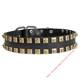 Brown Caterpillar Dog Collar With Square Nickel Studs