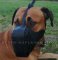 Large breeds leather Dog Muzzle "Dondi plus"