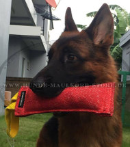 Beisswurst für Deutschen Schäferhund und Malinois