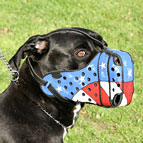 Cane Corso Maulkorb aus Leder "American Pride"