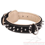 Lederhalsband mit weicher Polsterung und silbrigen Spikes