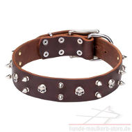 Eccentric Dog Collar with Skulls and Spikes. Extravagancy!