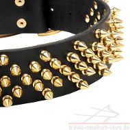 Gold Spiked or Studded Wide Dog Collar of Thick Leather