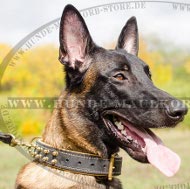 Dog Collar with Spikes for Malinois and Herder