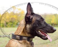 Leather Luxury Dog Collar for Malinois, Oiled Leather