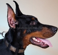 Collar for Doberman | Leather Dog Collar with Relief Plates