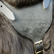 Leather Harness for Newfoundland | Dog Sport Harness K9