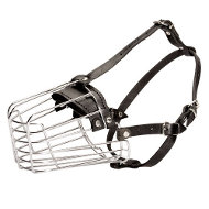 Wire Dog Muzzle for Cavalier King Charles Spaniel, Bestseller