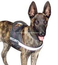 Nylon reflective multi-purpose dog harness for Malinois