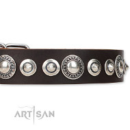 Leather Dog Collar "Step and Sparkle" from FDT Artisan