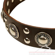 Adorned Leather Collar with Circles and Studs