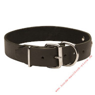 Leather Collar with Name Metal Plate for Indentification
