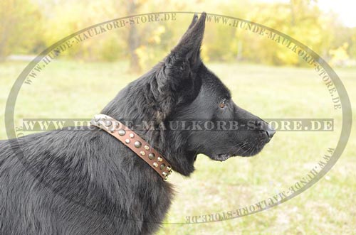 Dog Collar for German Shepherd, Leather