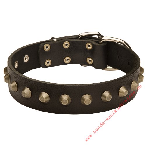 collar leather with brass decoration for large dogs