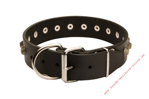 decorative dog collar leather with studded decorations